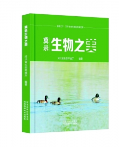 <br>          ■小青脚鹬<br><br>        